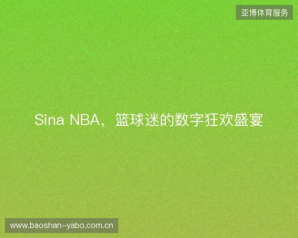 Sina NBA，篮球迷的数字狂欢盛宴
