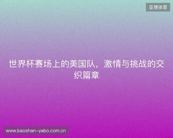 世界杯赛场上的美国队，激情与挑战的交织篇章